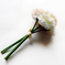 искусственные цветы букет гвоздик цвета кремовый с белым 40
