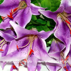 искусственные цветы лилии цвета фиолетовый 7