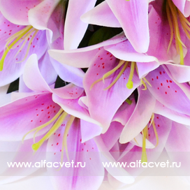 искусственные цветы лилии цвета фиолетовый с белым 15