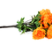 искусственные цветы пионы цвета оранжевый 2