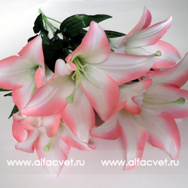искусственные цветы лилии цвета белый с розовым 19