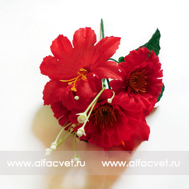 искусственные цветы маргаритка-колокольчик цвета красный 4