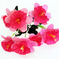 искусственные цветы букет нарциссов цвета темно-розовый 10