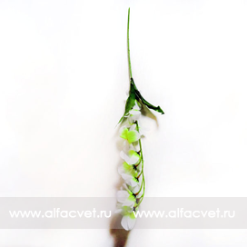 искусственные цветы ветка орхидей цвета зеленый с белым 34